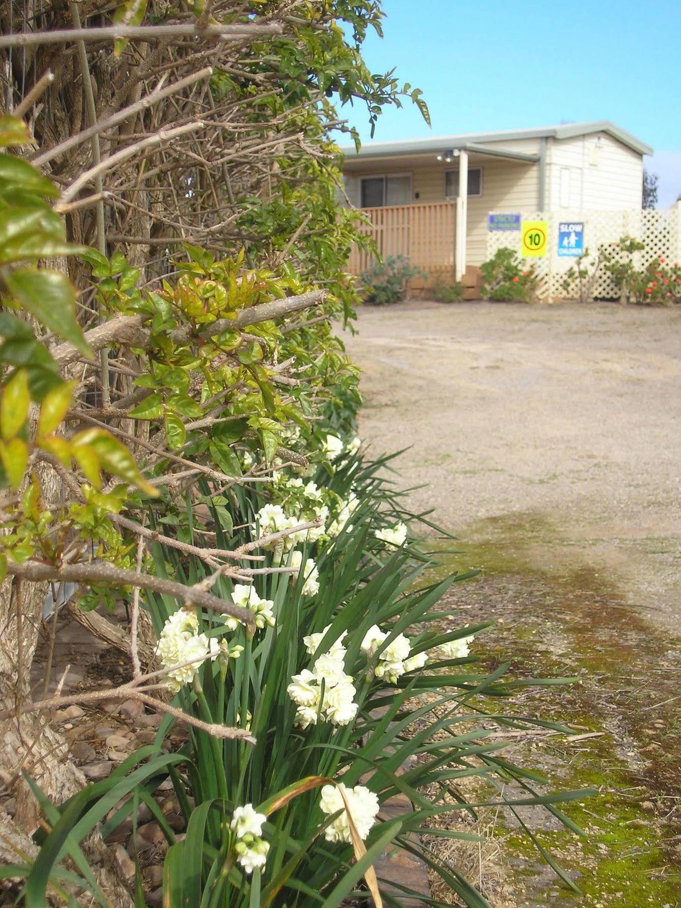 Moonta Bay Accommodation Port Moonta Экстерьер фото